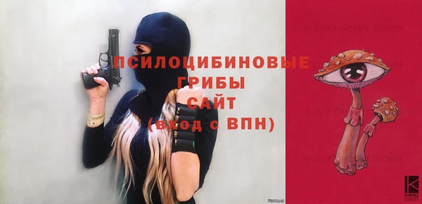 кокс Дмитриев