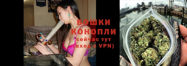 кокс Дмитриев