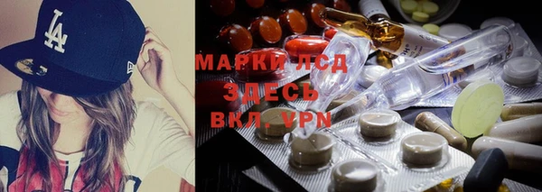кокс Дмитриев
