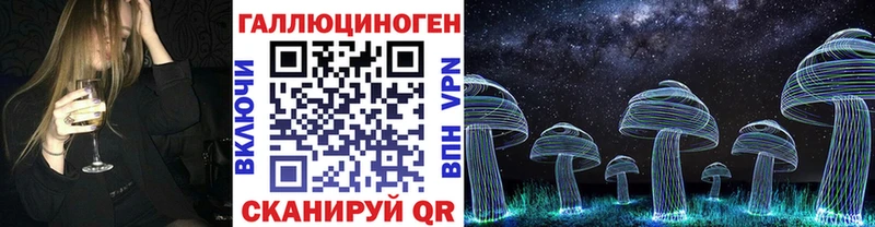 Купить закладки  Кодинск  Псилоцибиновые грибы GOLDEN TEACHER 